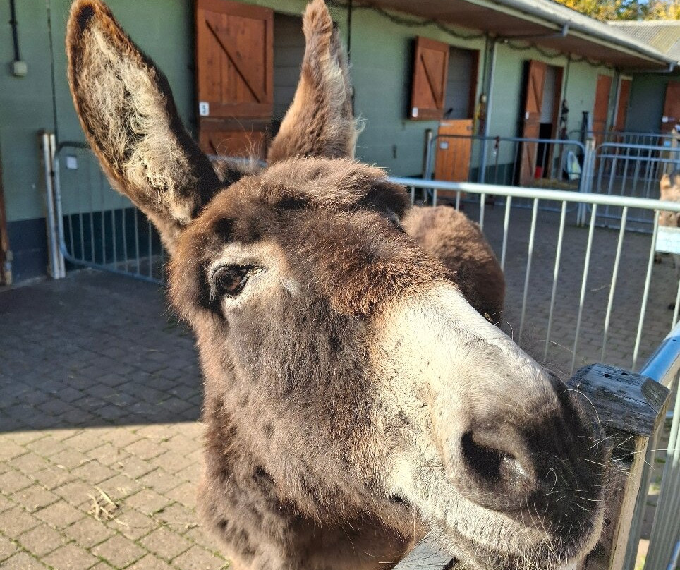 The Wonkey Donkey Visitors Centre-Knottingley必去景点