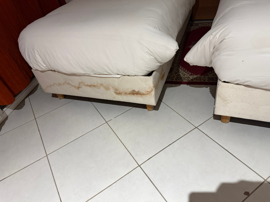 Hotel Arena Fes主图