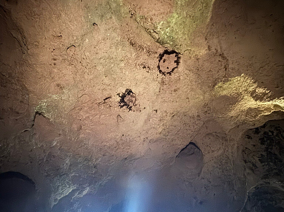 Adventures Caribbean-拿骚必去景点