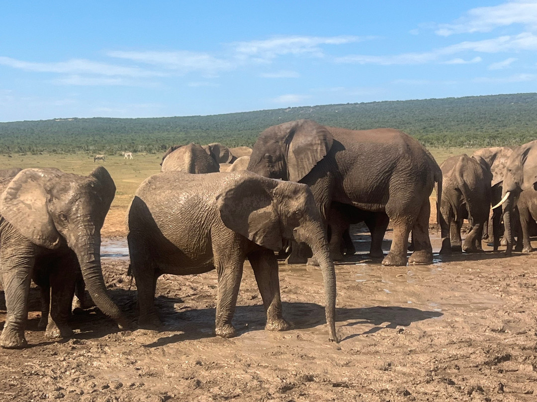 Crisscross Adventures-阿多必去景点
