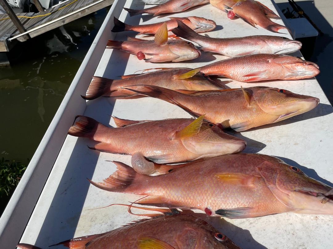 Thunder Party Boat-Hernando Beach必去景点