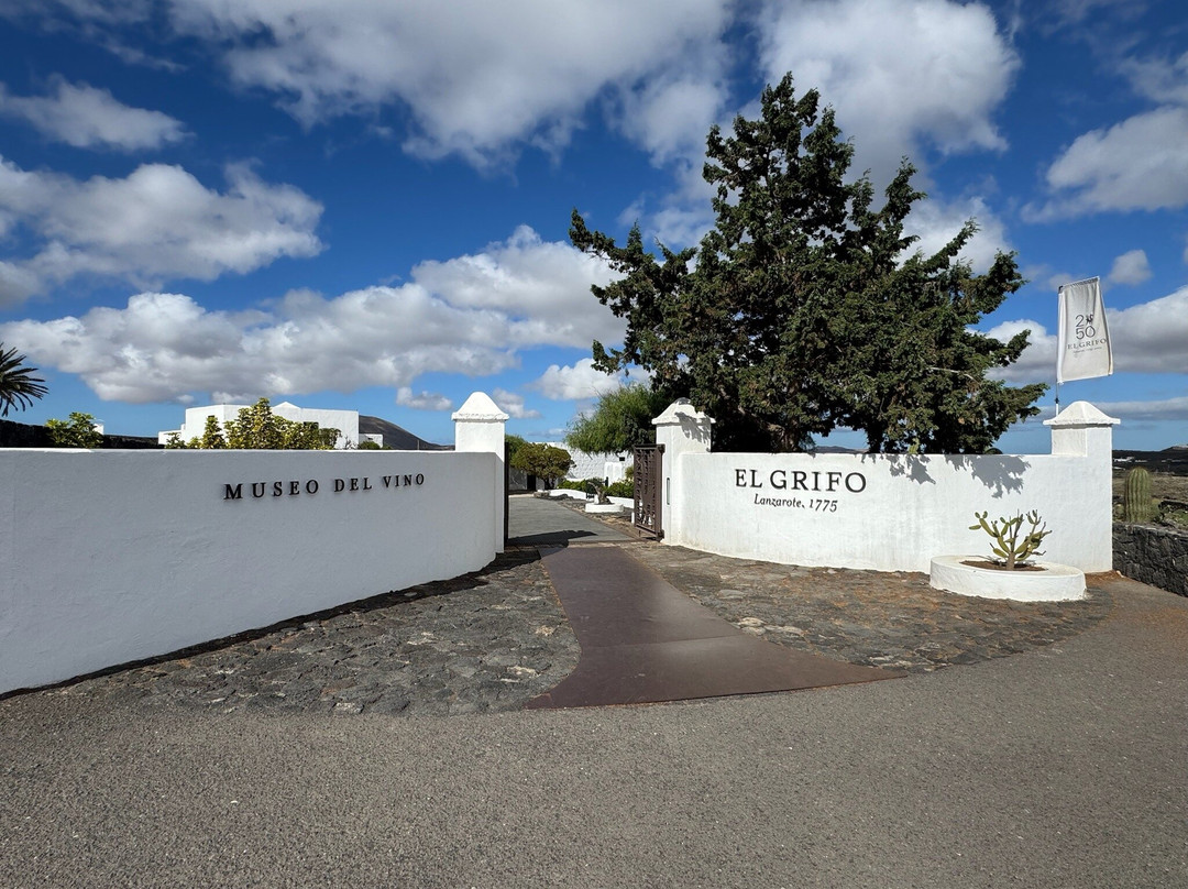 Wine Tours Lanzarote-卡门港必去景点