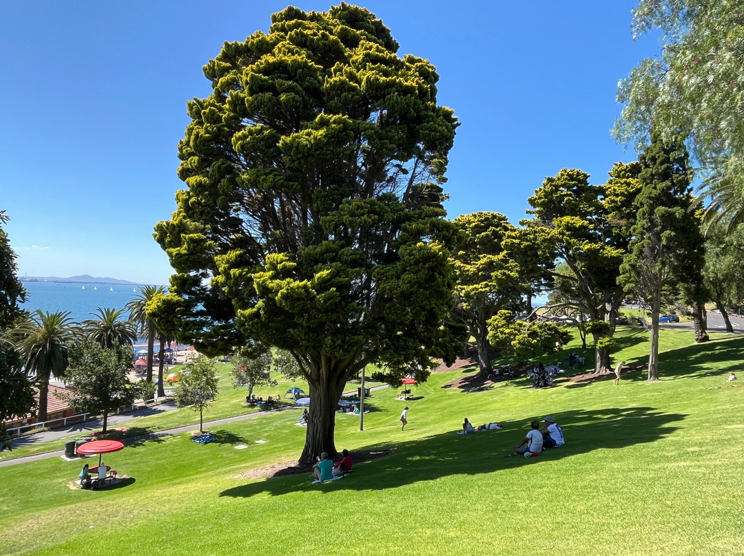Steampacket Gardens-季隆必去景点