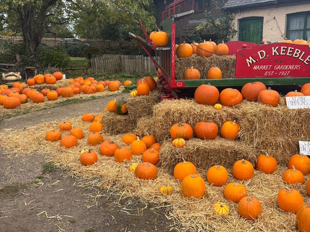 Botany Bay Farm-恩菲尔德必去景点