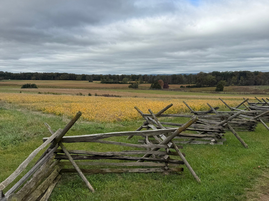 Hickory Hollow Horse Farm-葛底斯堡必去景点