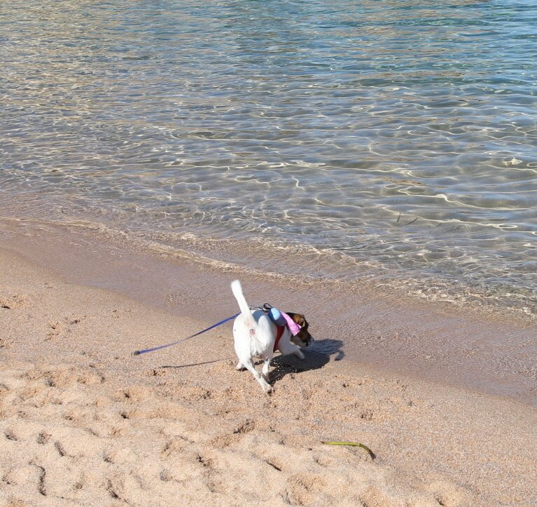 La plage de Verghia-Coti-Chiavari必去景点