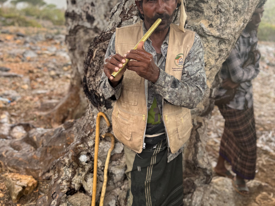 Embrace Socotra-Hadiboh必去景点
