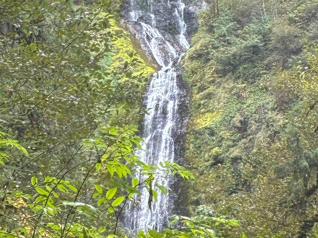 Munson Creek Falls-蒂拉穆克必去景点