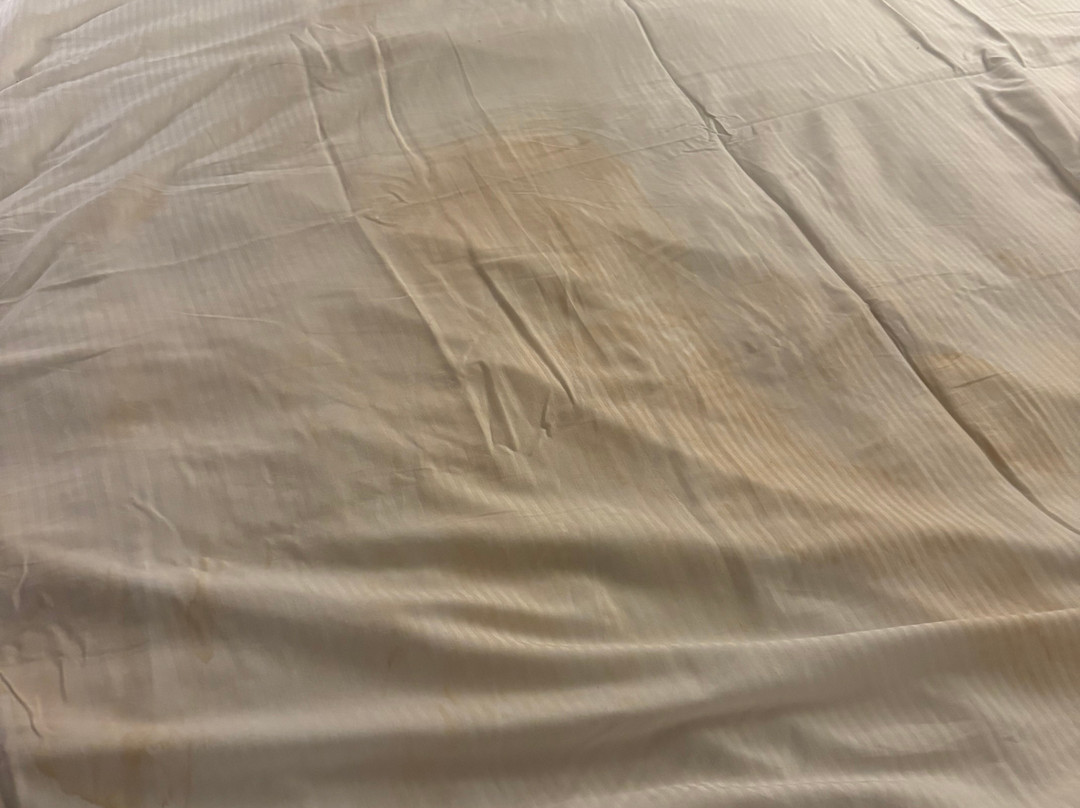 the Alloy King of Prussia - a DoubleTree by Hilton主图