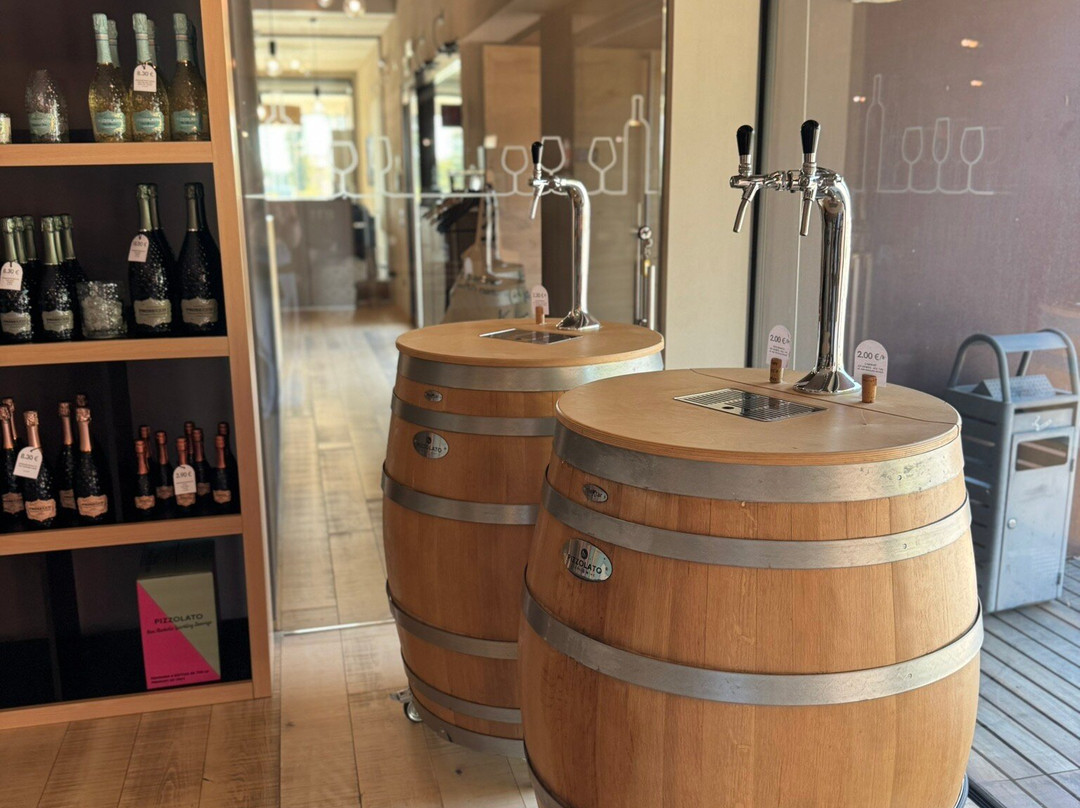Cantina Pizzolato Società Benefit - Organic Wine Experience-维洛尔巴必去景点