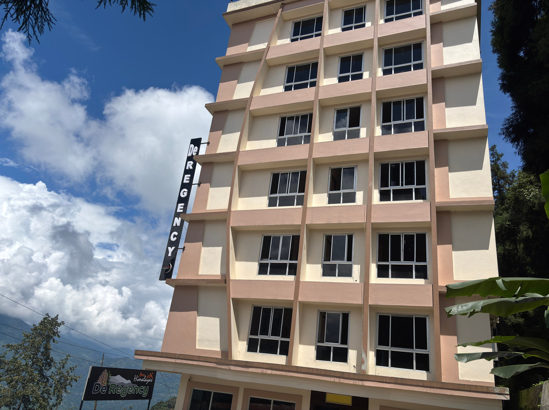 Hotel De Regency主图