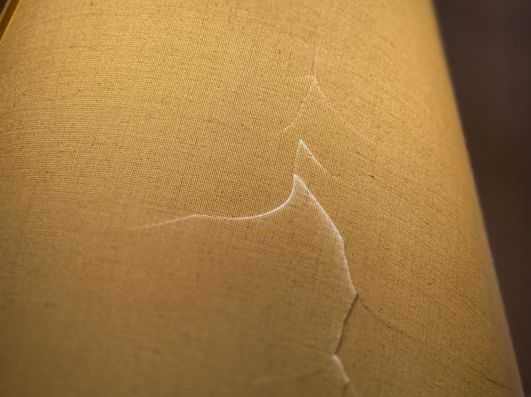 桑德贝戴斯套房酒店主图