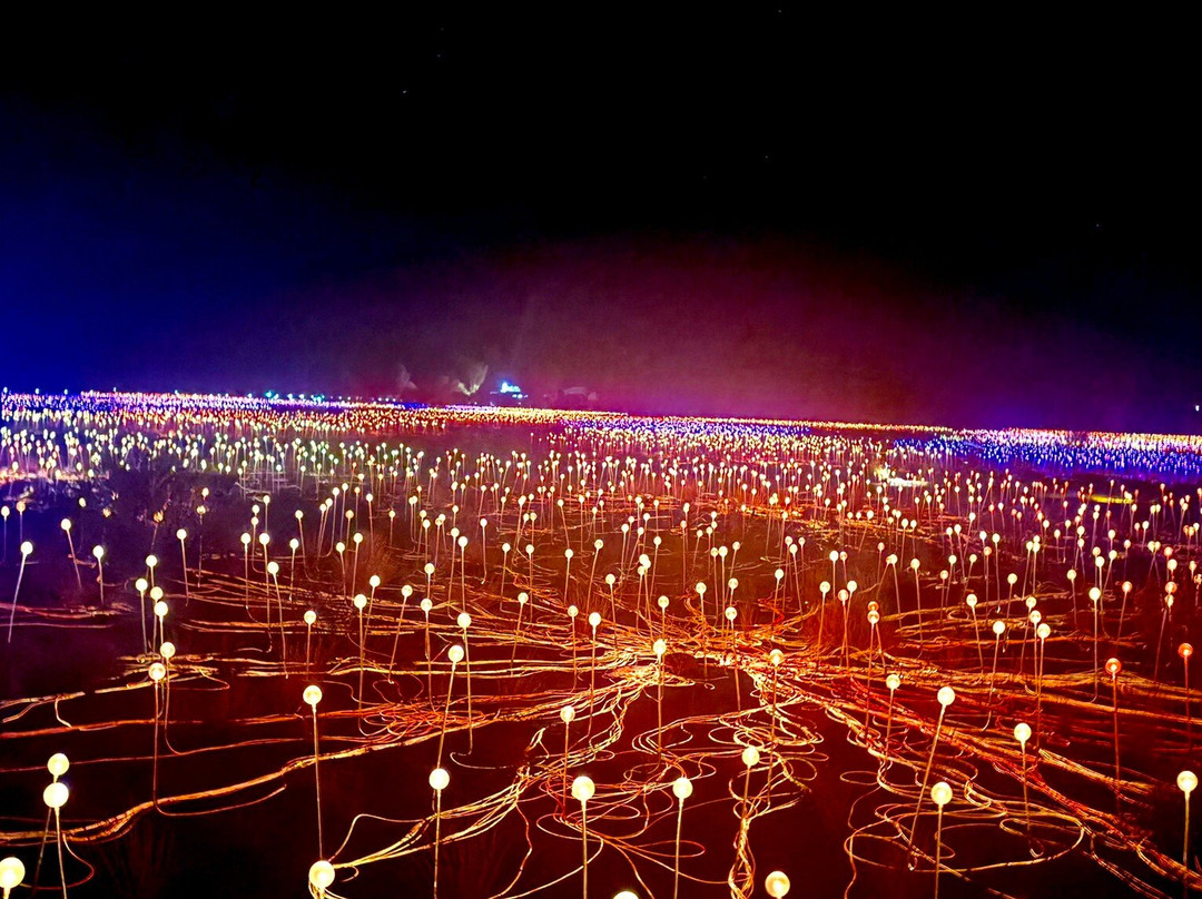 Field of Light-乌鲁鲁-卡塔丘塔国家公园必去景点