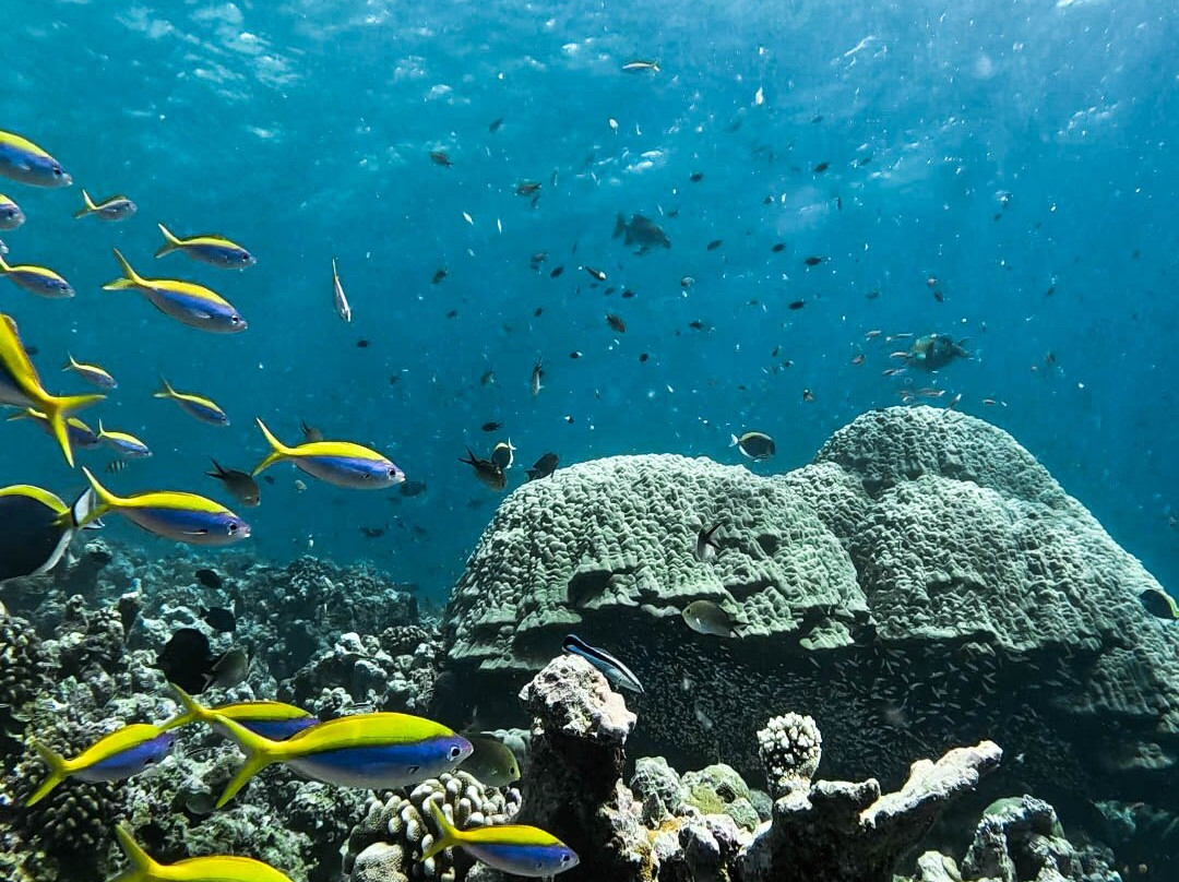 Flow Ventures-Fulhadhoo Island必去景点