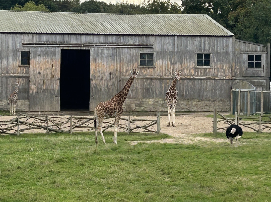 Flamingo Land Resort-Kirby Misperton必去景点