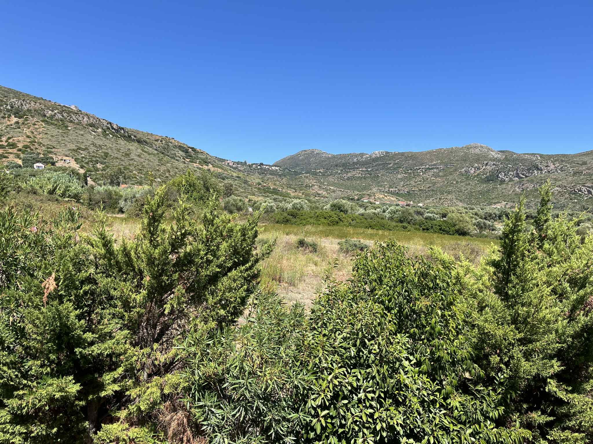 Eryphilli Studios-官方