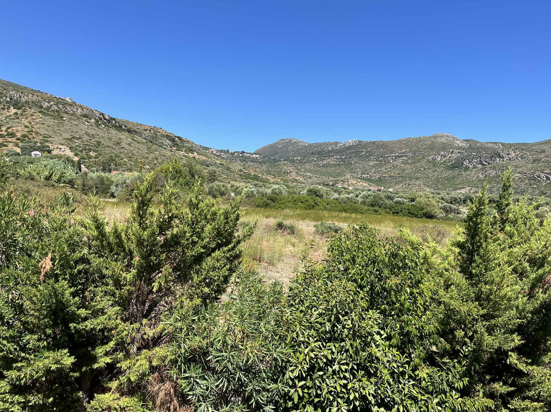 Eryphilli Studios主图