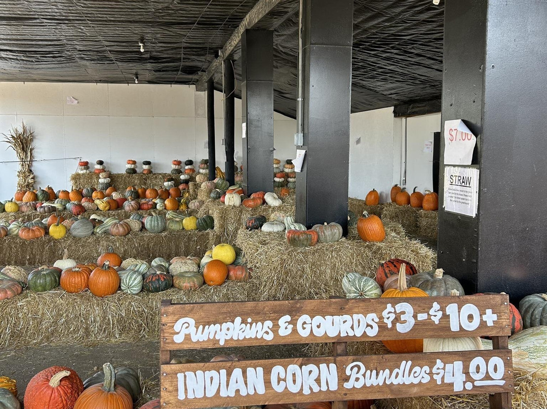 Pumpkins And More Farm Market-Ferdinand必去景点