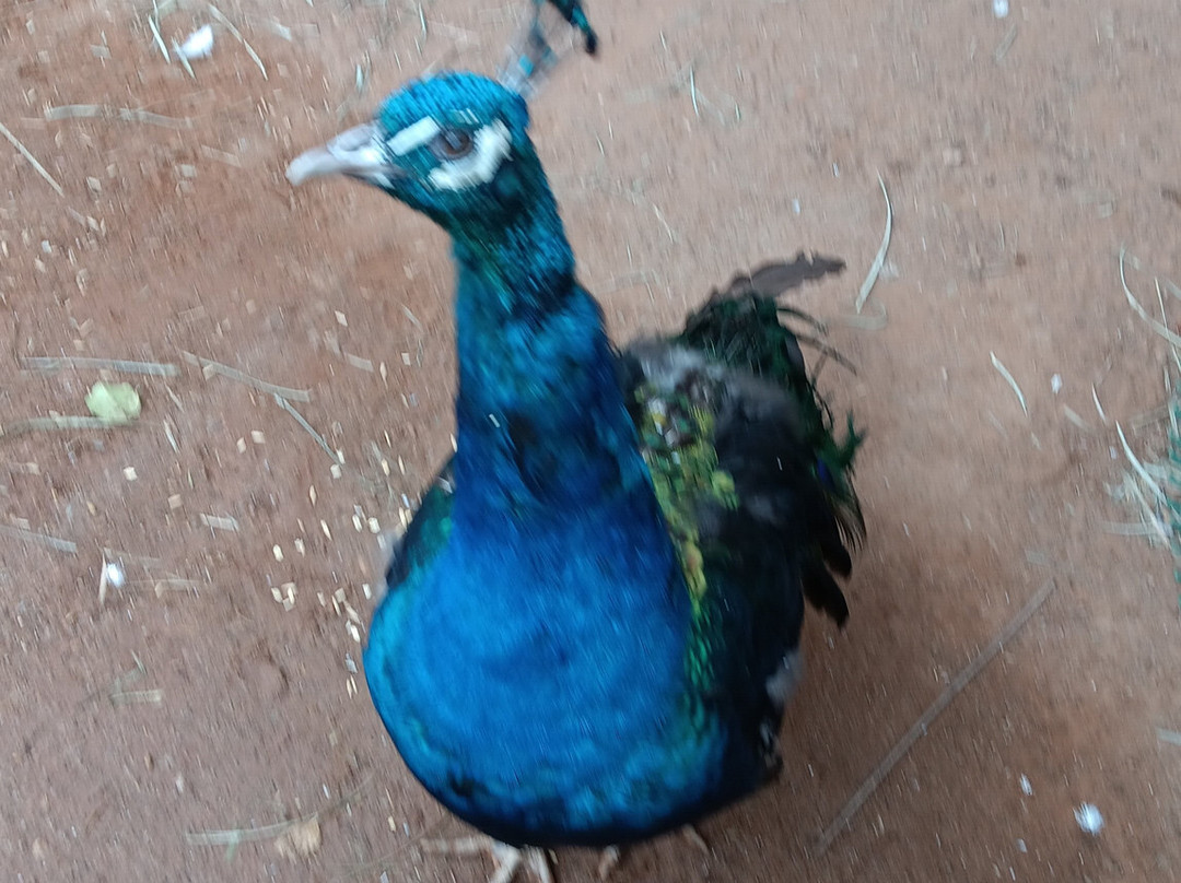 Hole N" The Rock-莫阿布必去景点