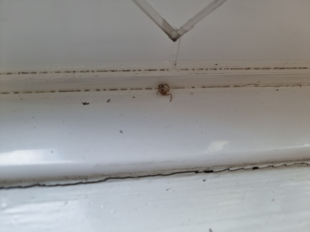 Travelodge Retford Markham Moor主图