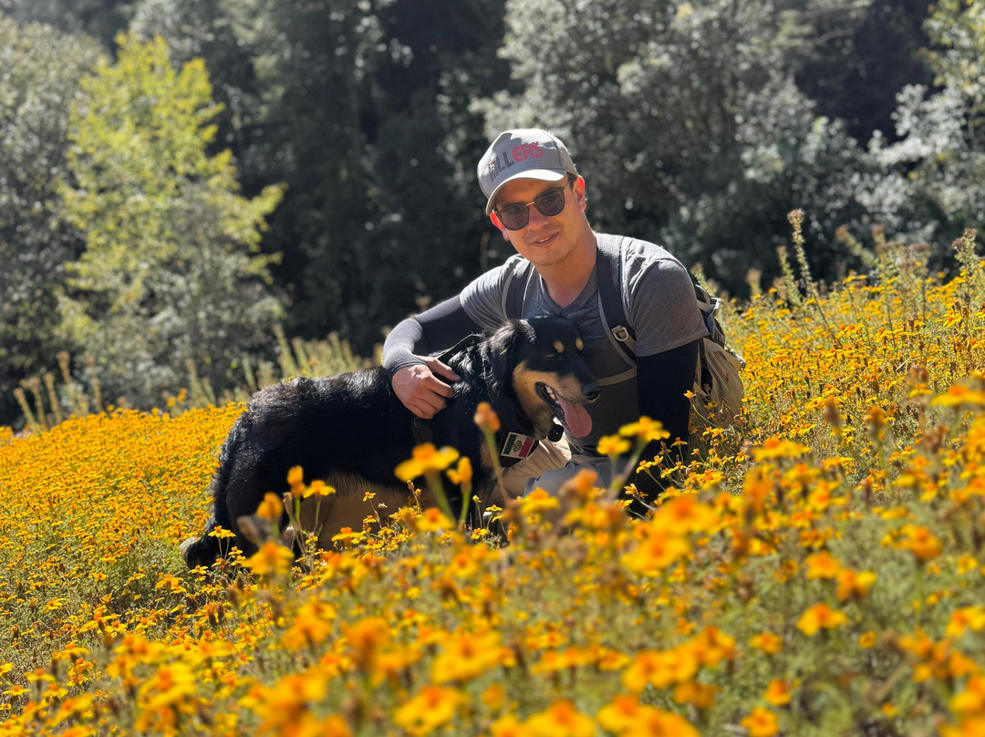 Hawks Adventures-Mineral del Chico必去景点