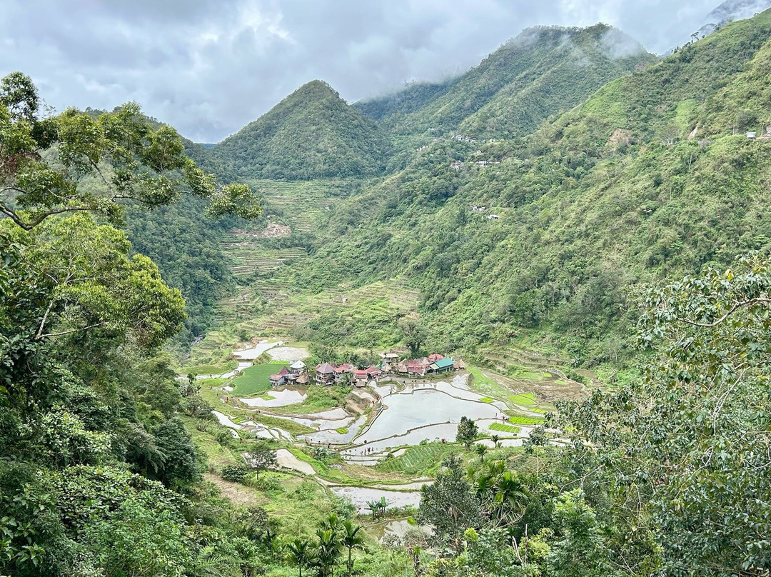 Bangaan Ifugao Rice Terraces