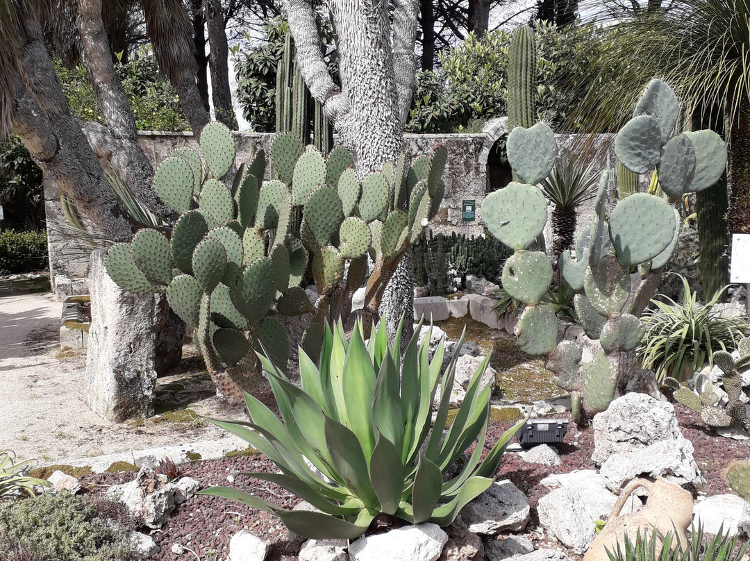 La Cutura Giardino botanico-Giuggianello必去景点