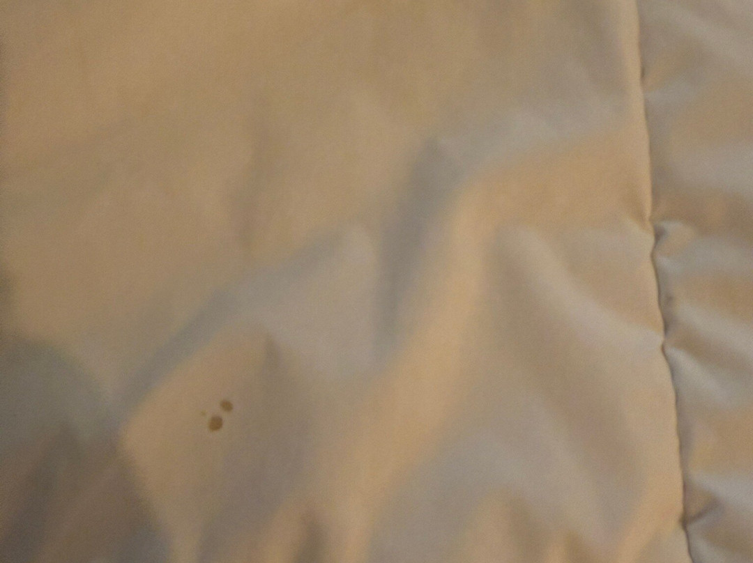 玛尔奎酒店主图