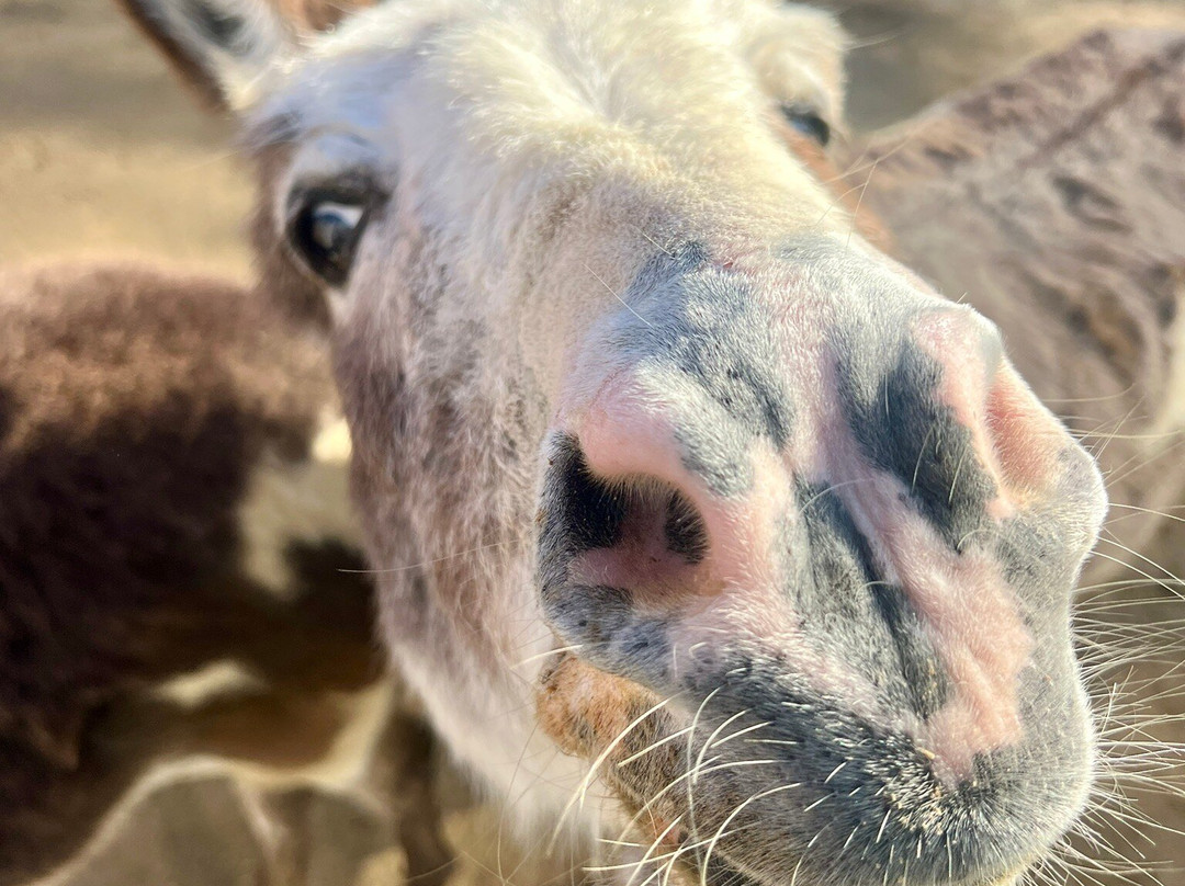 Eagle Eye Farm-River Falls必去景点