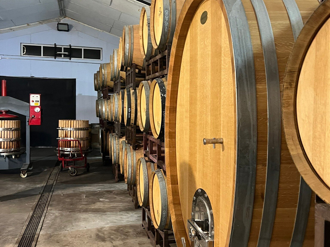 BESOAIN Wines-Pirque必去景点