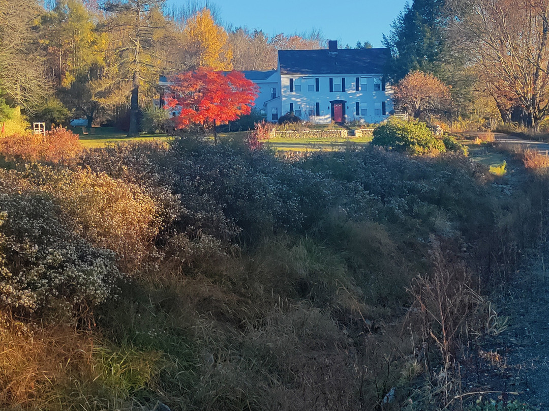 Colonel Williams Inn主图