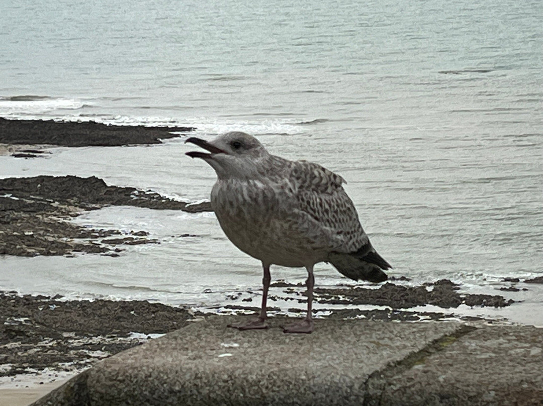 Granville 360°-格兰维尔必去景点