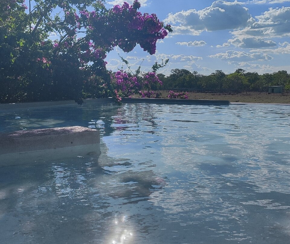 JalapaMax | Turismo-Palmas必去景点