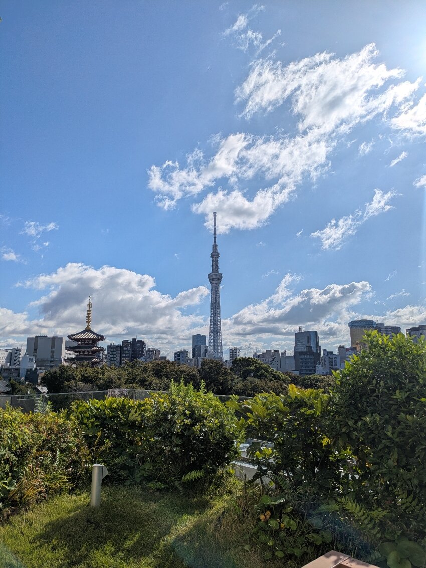 里士满浅草国际酒店-官方