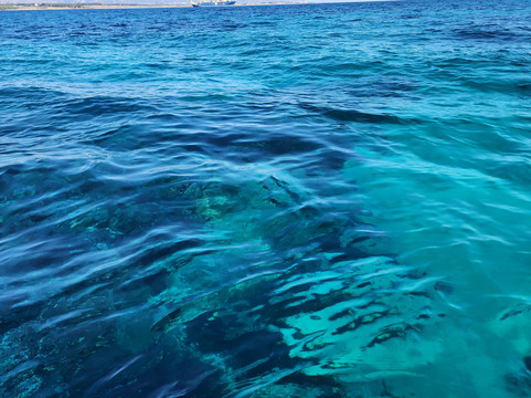 Yellow Glass Bottom Boat-帕福斯必去景点