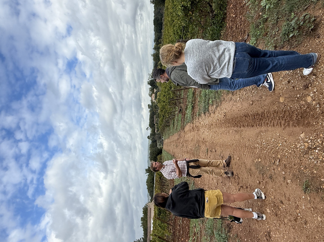 Château Carpe Diem-Cotignac必去景点