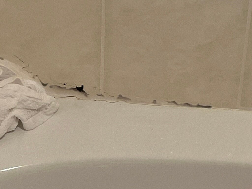 Lighthouse Inn主图