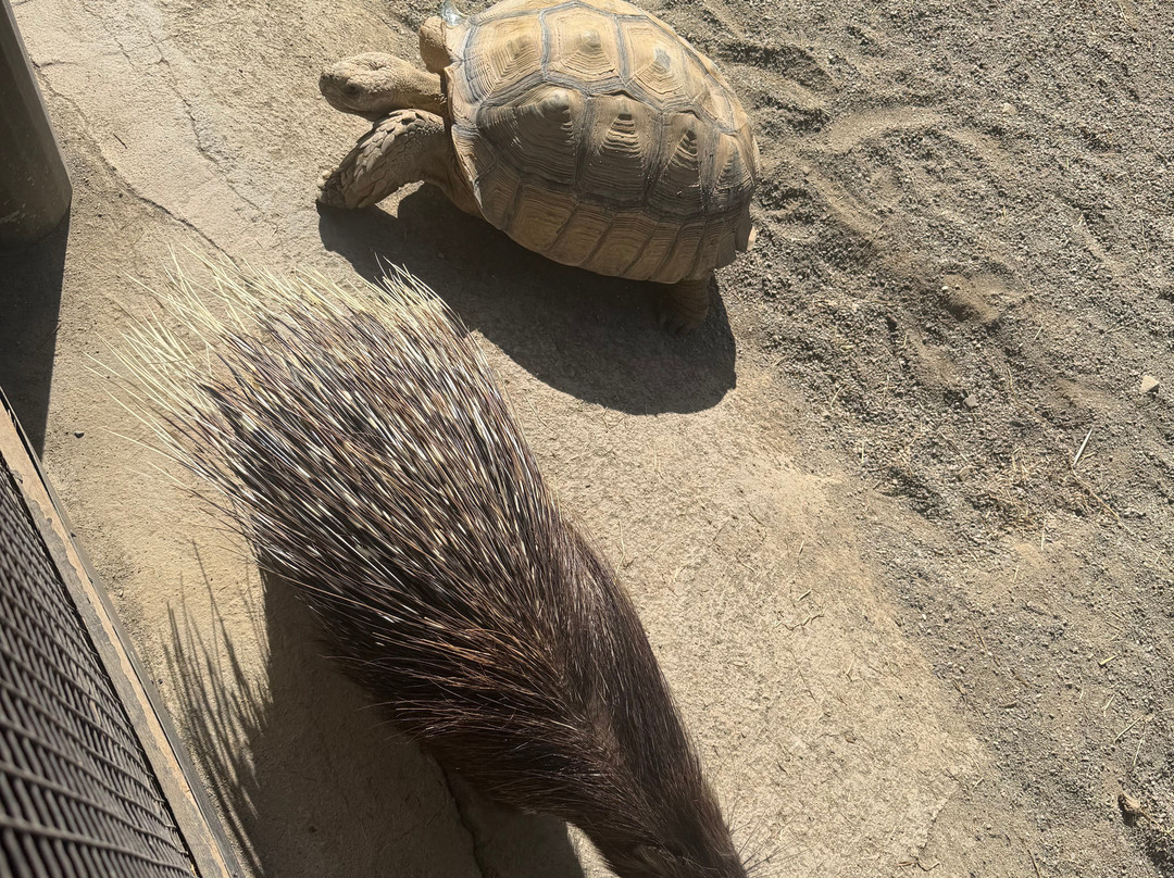 Crocodile Park-托雷莫里诺斯必去景点