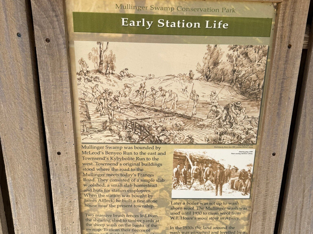 Mullinger Swamp-Kybybolite必去景点