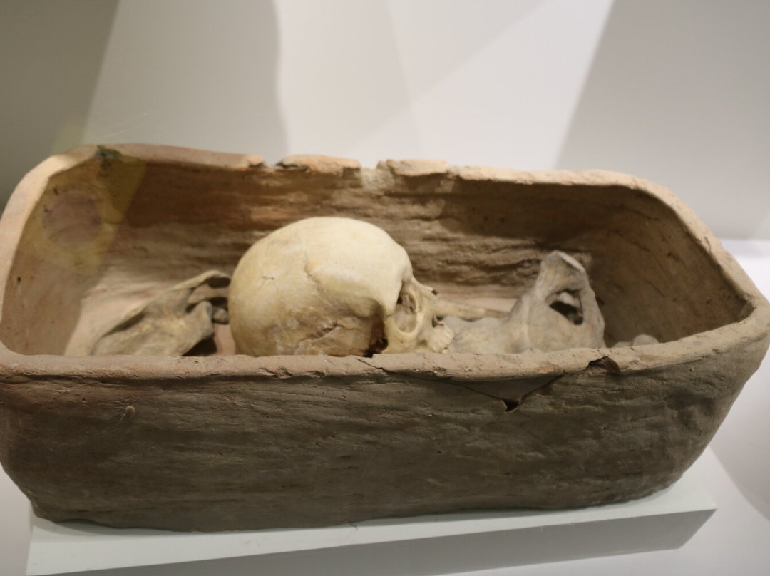 Afrasiyab Museum-撒马尔罕必去景点