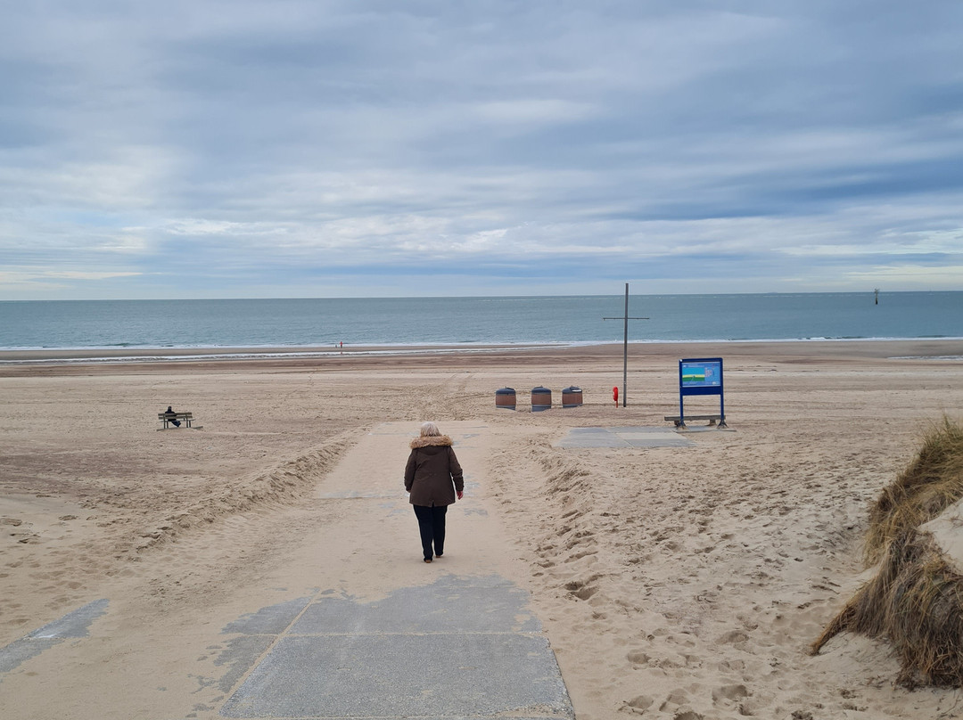 Fletcher Strandhotel Haamstede主图