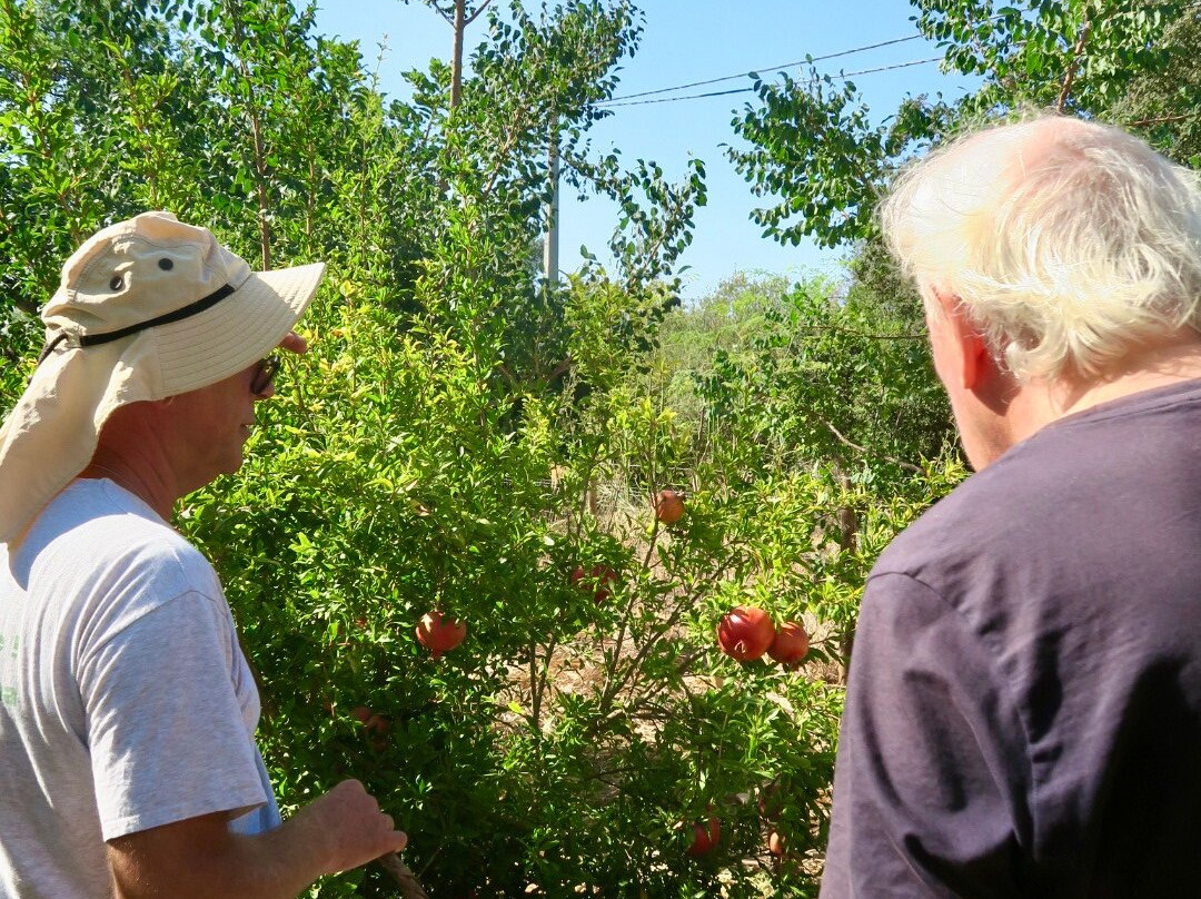 Orchard Of Flavours Botanical Garden-Luz de Tavira必去景点