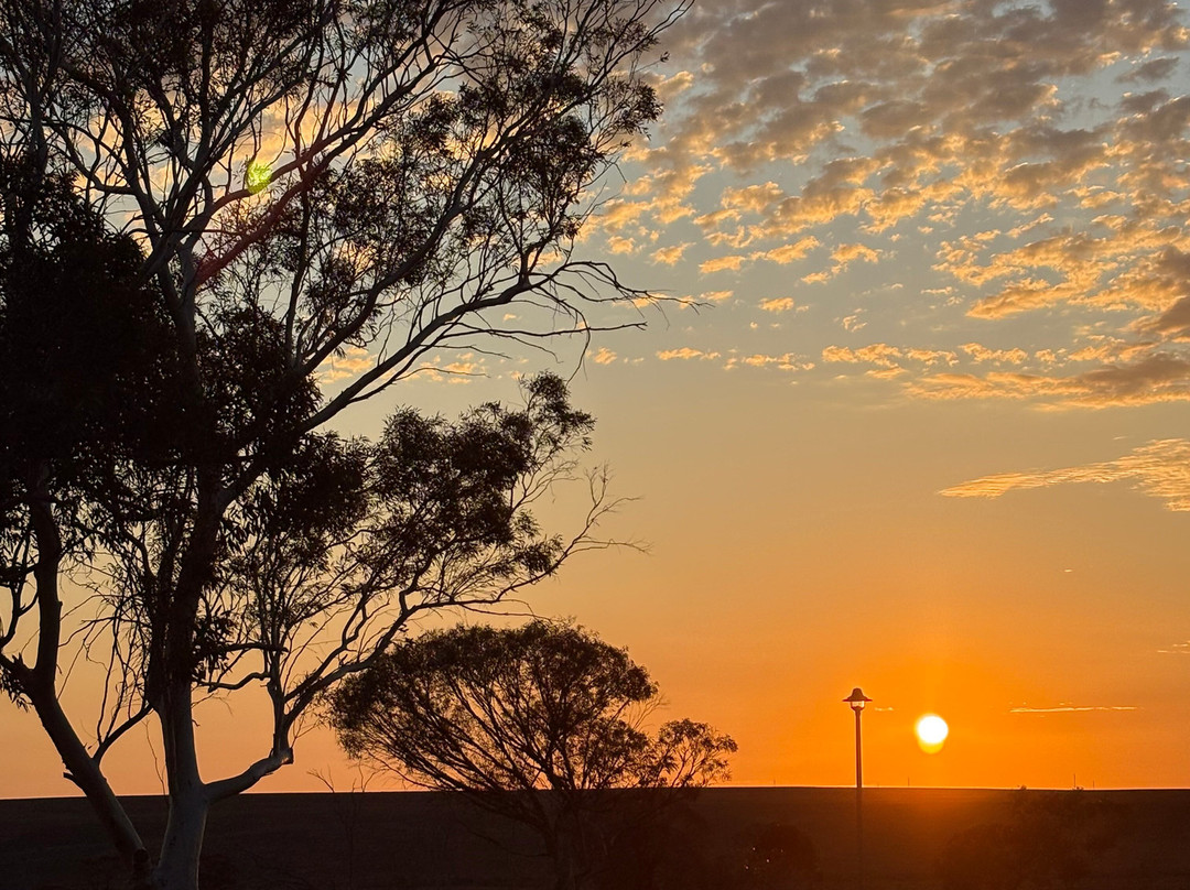 Gekko Safari - Outback Tours-Belair必去景点