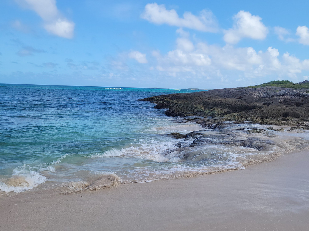 Arawak Beach Club主图