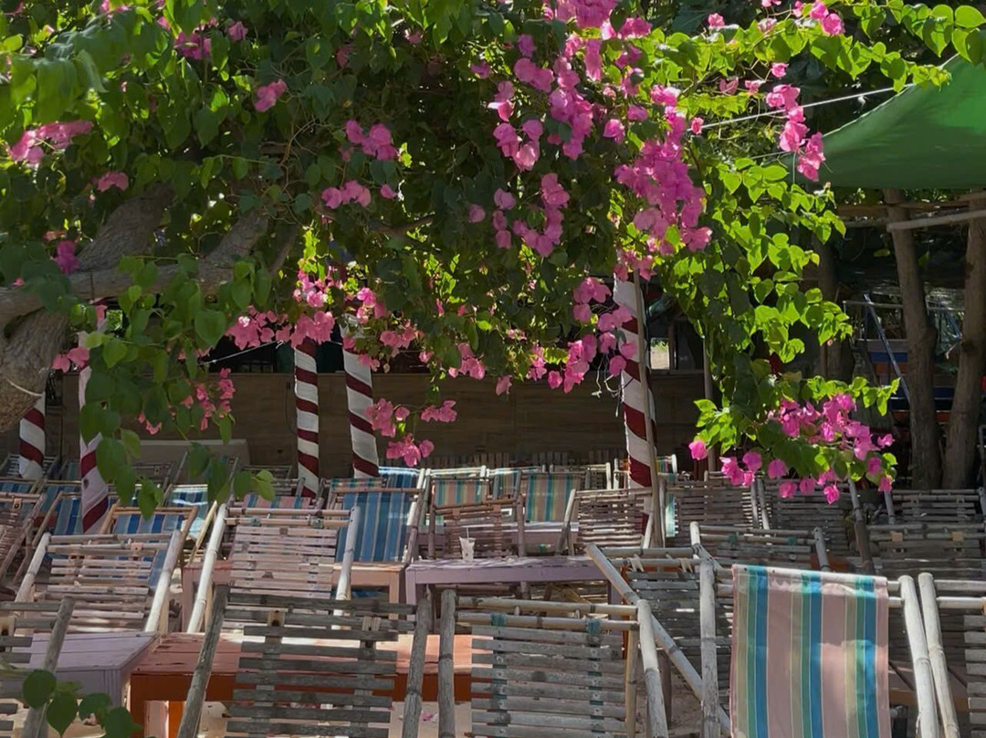 Đảo Robinson Nha Trang-芽庄必去景点