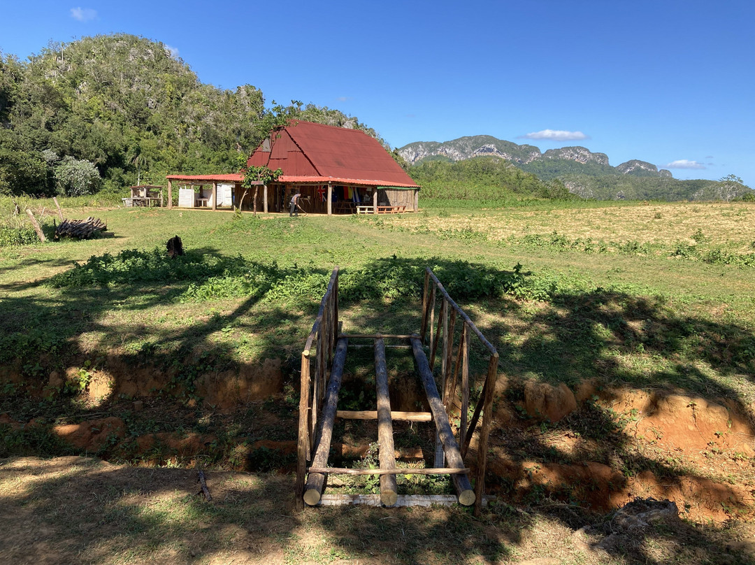 Authentic Tour Delivery-null必去景点