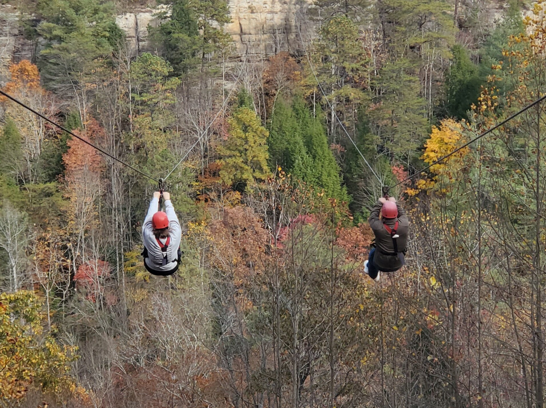 Red River Gorge Zipline-Campton必去景点