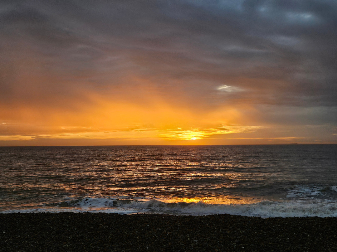 The Dolphin Inn主图