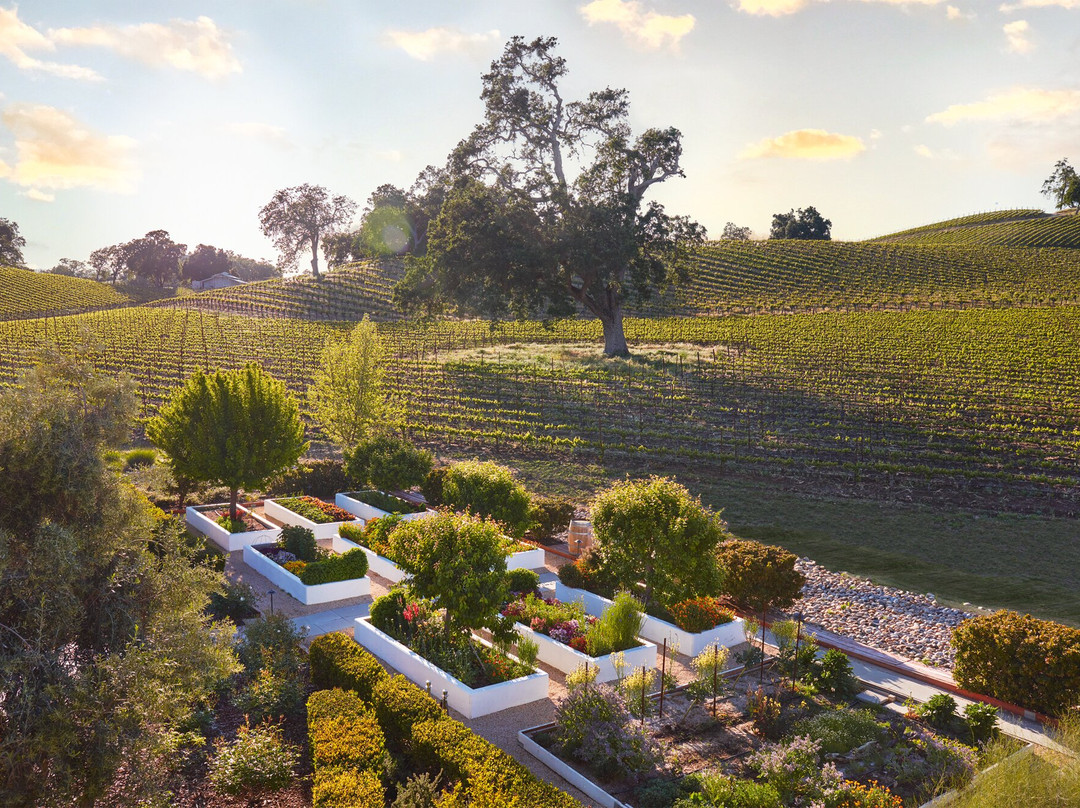 JUSTIN Vineyards & Winery-帕索罗布尔斯必去景点