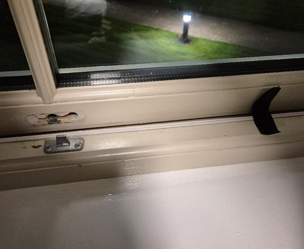 Sweet Chestnut主图